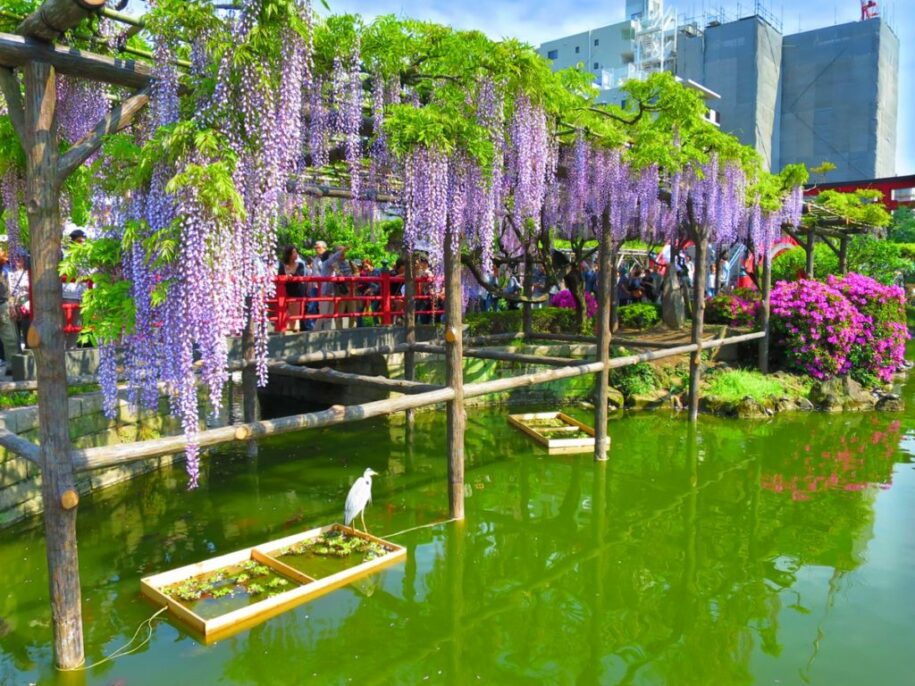 Best things you can in Tokyo during the Golden Week