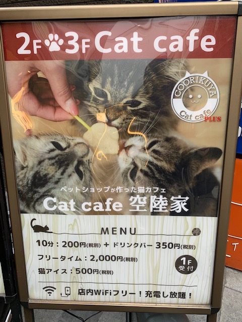 Cat cafe