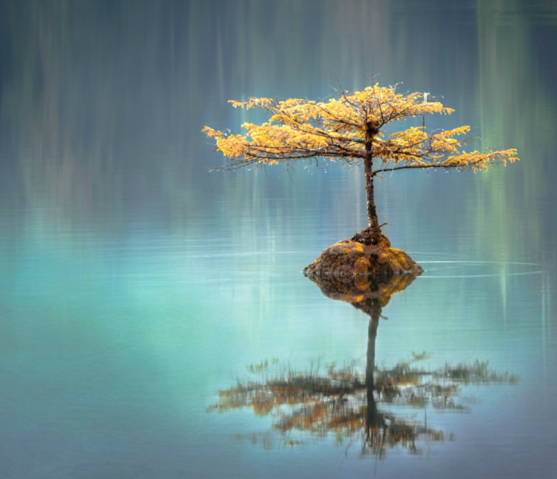 Haiku: Crafting the Art of Emotive Conciseness in Poetry